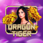 Dragon Tiger live game at jiljil